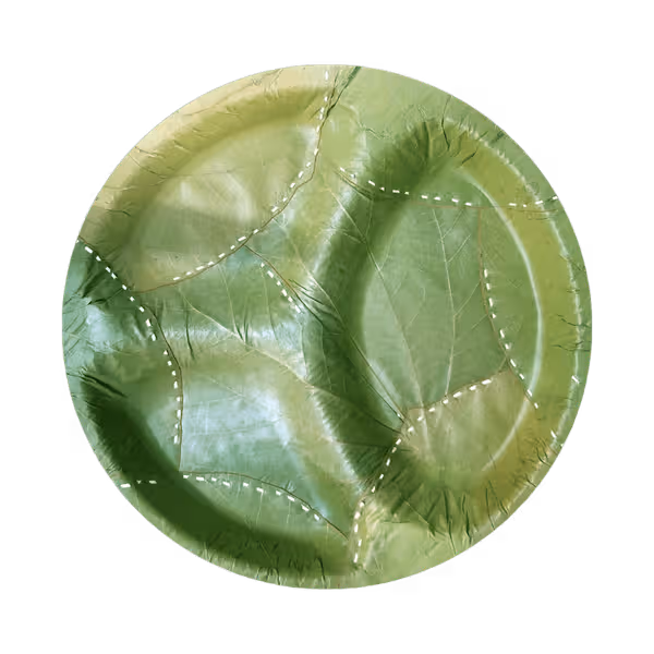 Organic eco friendly items Hyderabad