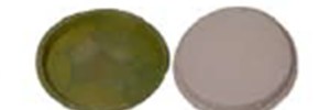 10 inch disposable eco paper plate