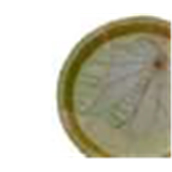 10 inch round leaf plate
