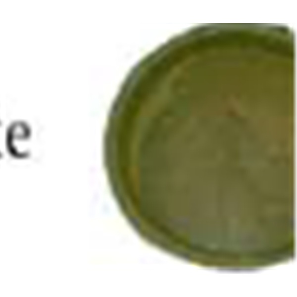 12 inch round leaf plate