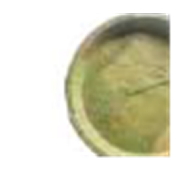 13 inch natural leaf plate