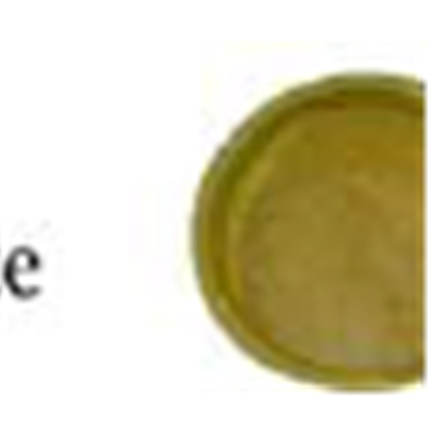 8 inch round leaf plate