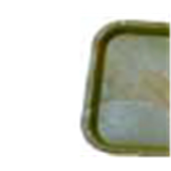 10 inch square leaf plate