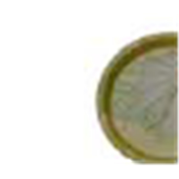12 inch square leaf plate